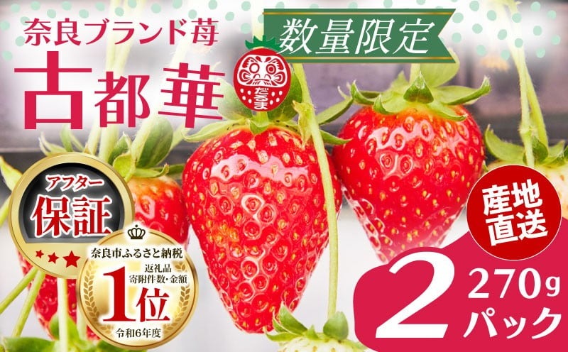 いちご 古都華 270g×2パック 数量限定 苺 イチゴ ブランド 大粒 旬 産地直送 フルーツ 果物 冷蔵 フレッシュ 小分け 国産 贈答用 プレゼント ギフト 奈良産 高級 厳選 限定 新鮮 産地 直送 ブランド苺 甘い 人気 美味しい 糖度 12～13度 限定出荷 奈良市 奈良県 大ちゃん いちご 農家 だるま