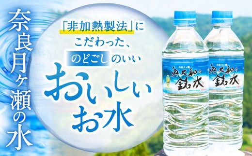 【定期便12ヶ月】奥大和の銘水　540ml×48本（1箱24本入り×2箱）×12ヶ月 A-1