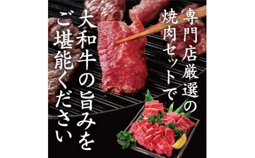 牛肉 和牛 ブランド牛 大和牛 焼肉セット【年末年始12月26日?1月7日の着日指定不可】 大和牛専門店 一 H-45