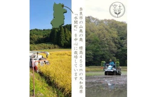 新米 まほの極み コシヒカリ/ヒノヒカリ（スタンダード） 精米2kg 3袋セット 11月以降発送 H-134