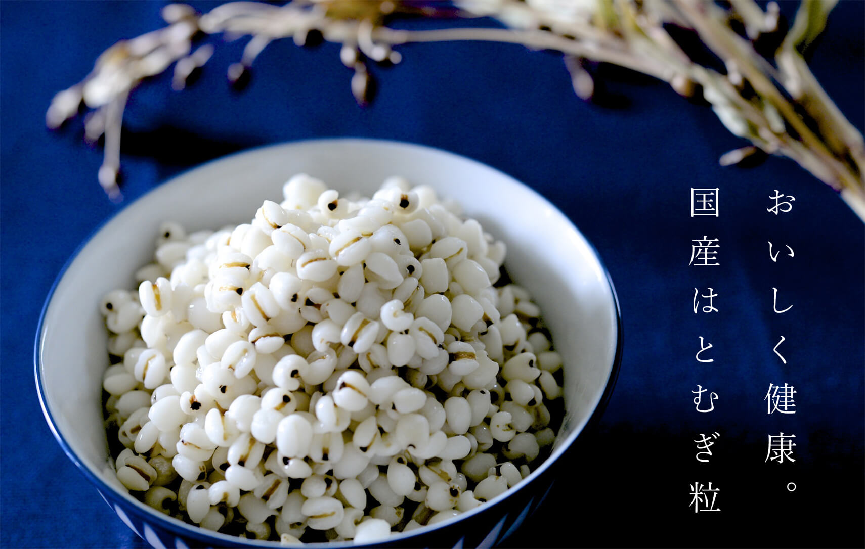 国産はとむぎ粒（お徳タイプ）それいゆ株式会社 奈良県 奈良市 なら 11-006