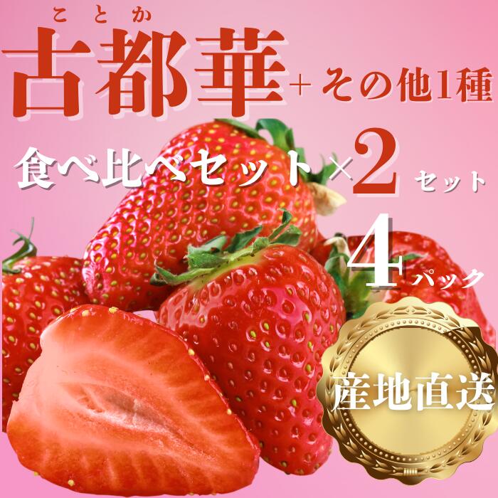 奈良ブランドいちご２種（古都華と他１種）食べ比べセット×２セット （古都華２パック＋別品種２パックの計４パック） (他１種は、かおりの・珠姫・奈乃華・ならあかり・あすかルビーのいずれか) イチゴ いちご 苺 めいとく農園 奈良県 奈良市 奈良 14-034