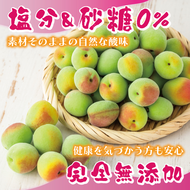 H-91 月ヶ瀬梅渓名産　　梅エキス　二本セット