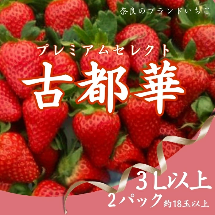 いちご 苺 古都華プレミアムセレクト（２パック入り）甘い いちご 大粒 奈良県認証 めいとく農園 25-020