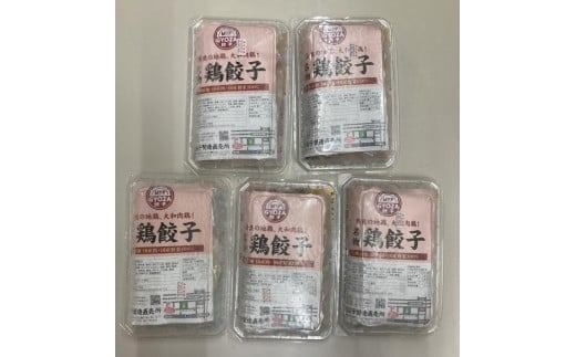 I-32 大和肉鶏の餃子（70個）ジューシー餃子大容量　小分けパック　ぎょうざ　こだわり餃子