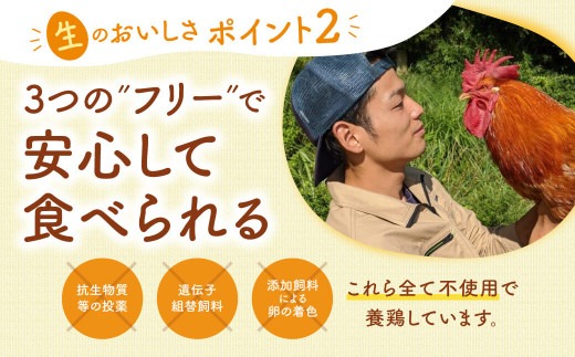 飛鳥の卵（１０個×４箱）定期便６ケ月 たまご 平飼い卵 平飼い 卵 卵 玉子 タマゴ 鶏卵 オムレツ 卵かけご飯 たまご焼き 古都 風雅ファーム 奈良県 奈良市 なら 90-001