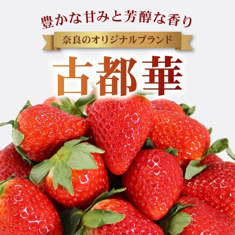いちご 古都華 2026年 発送（270g×2パック） 家庭用 予約受付中 数量限定 いちご イチゴ 先行予約 いちご 苺 奈良ブランド苺 イチゴ ブランド 古都華 大粒 苺 旬 産地 直送 フレッシュ 新鮮 フルーツ 果物 くだもの 萩原いちご農園 奈良県 奈良市