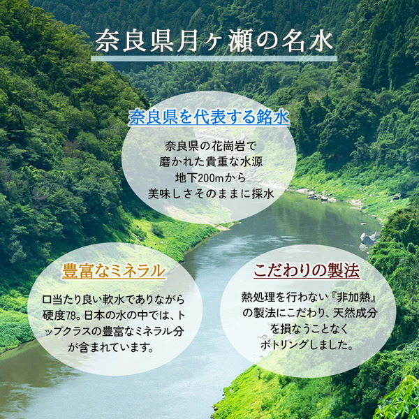 シリカウォーター Regina 奈良県産 24本（540ml） × 2ケース レジーナ LeMoN株式会社 奈良県 奈良市 なら 12-066