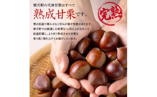 天津甘栗（２５００ｇ） ＲＡＫＵＴＥＮＫＥＮ株式会社 HJ-03