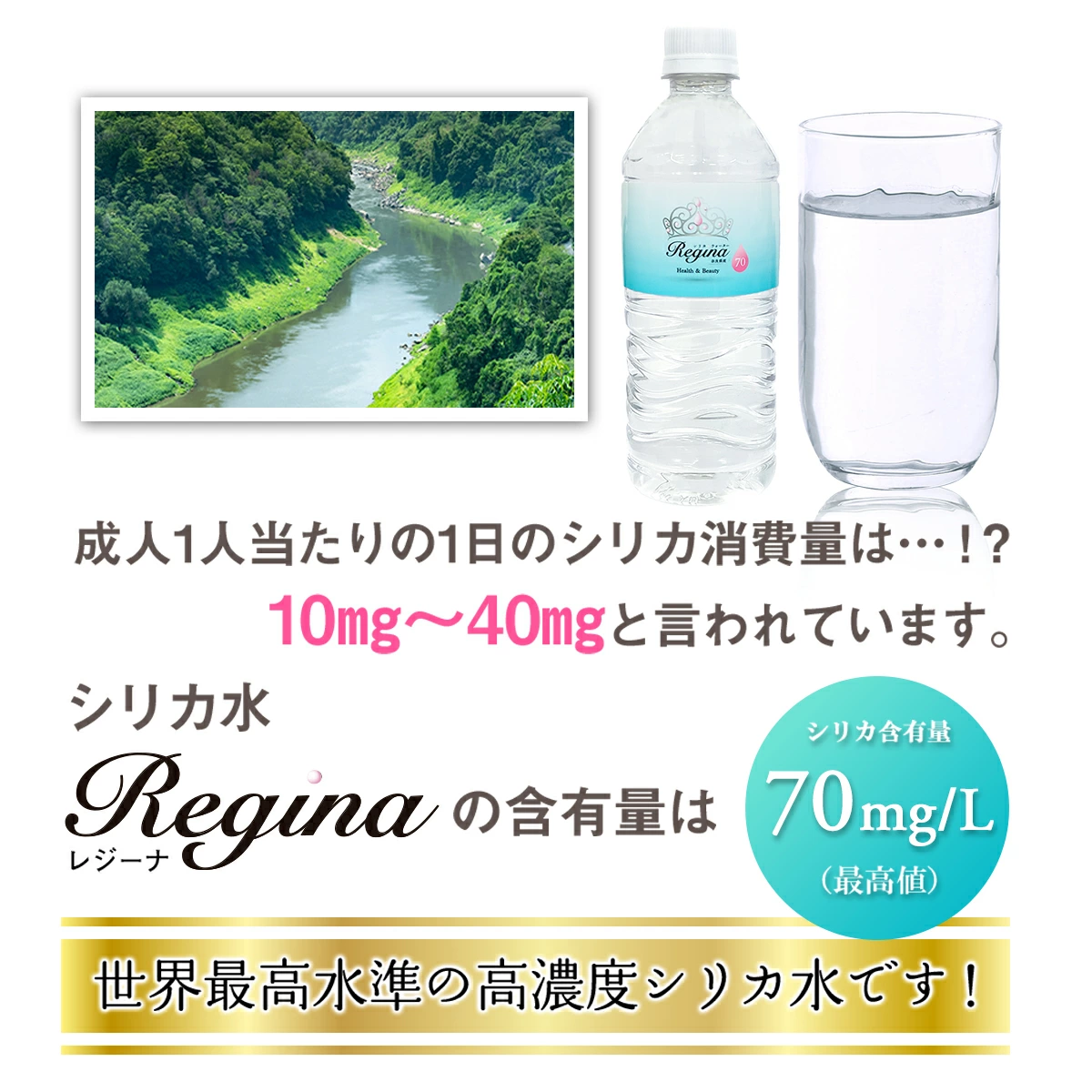 シリカウォーター Regina 奈良県産 24本（540ml） × 2ケース レジーナ LeMoN株式会社 奈良県 奈良市 なら 12-066