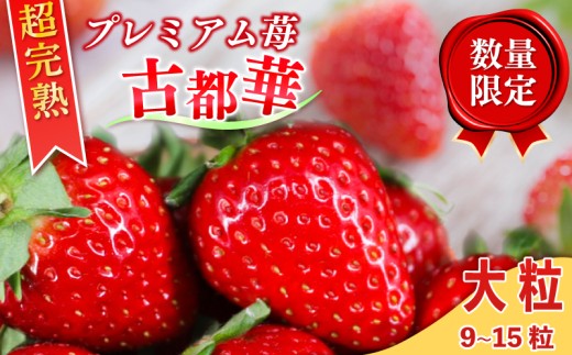 いちご 古都華 大粒 9~15粒 1箱 数量限定 冷蔵 いちご ことか 2027年発送 苺 フルーツ 果物 イチゴ strawberry 贈答 ギフト プレゼント 産地直送 季節限定 旬 完熟 奈良県 奈良市 6FARM