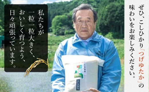 【新米】令和6年産 お米 白米 30kg つげゆたか（コシヒカリ） 都祁地産地消推進会 40-010