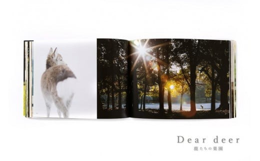 J-63　奈良の鹿 写真集「Dear deer 鹿たちの楽園」