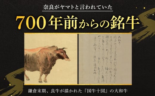 I-276 大和牛すき焼き（しゃぶしゃぶ）用切り落とし 600g　肉の河内屋