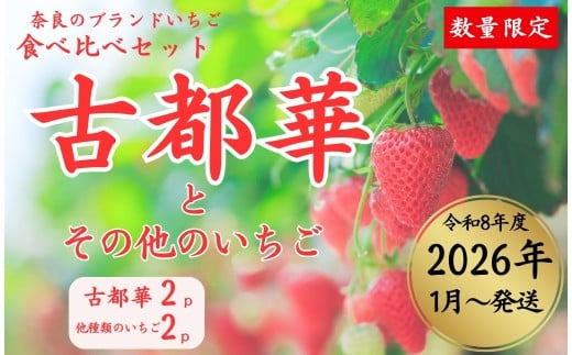 【数量限定】2026年予約販売開始 奈良ブランドいちご２種 食べ比べセット×２セット（古都華２パック＋別品種２パックの計４パック） (他１種は、かおりの・珠姫・奈乃華・ならあかり・あすかルビーのいずれか) イチゴ いちご 苺 めいとく農園 奈良県 奈良市 奈良