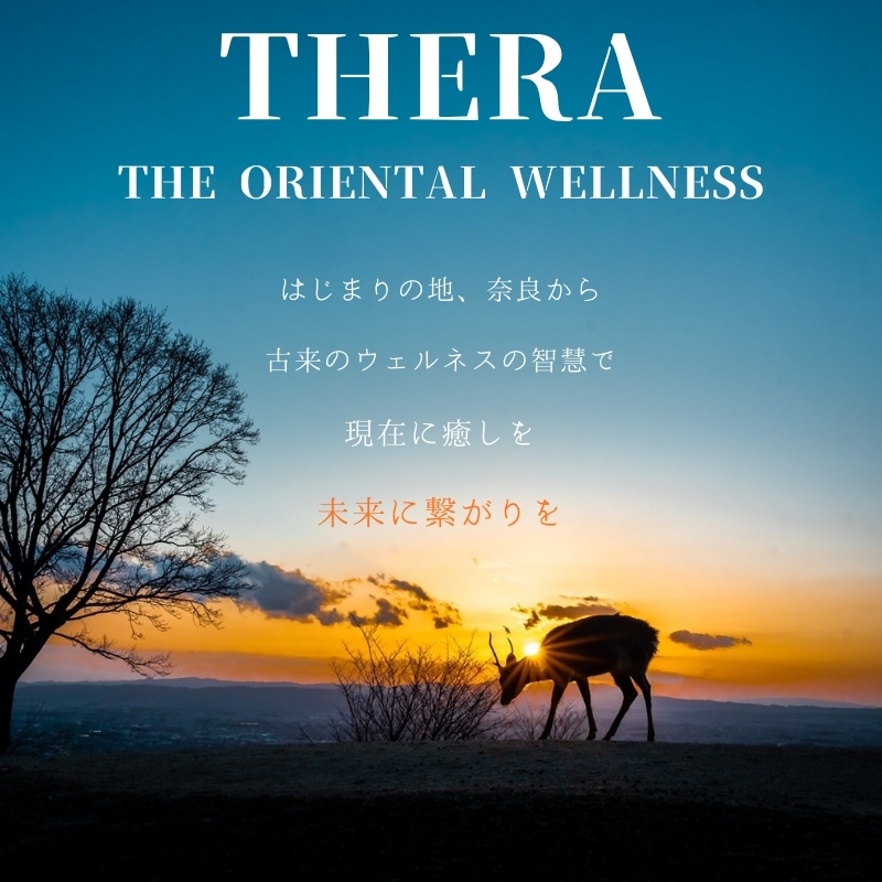 和漢発酵美容 乳液 THERA 化粧水 エイジングケア スキンケア 保湿 潤い 透明感 オーガニック 白檀 発酵 藤はちみつ ハチミツ 藤 大和 橘 蒸留水 果実 オーガニック米 もろみ粕 アロエベラ マンダリン オレンジ 果実水 ラベンダー ビャクダン カミツレ シャクヤク トウキ ヨモギ ドクダミ ハトムギ 奈良市 奈良県
