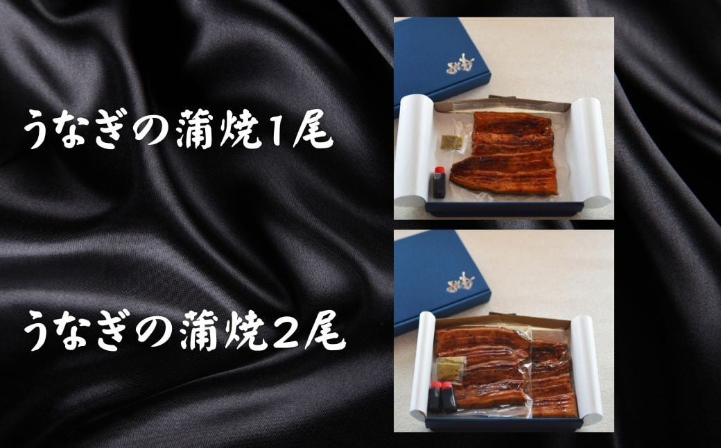 国産 うなぎの蒲焼 【1尾】 うな菊 たれ付き 鰻 うなぎ 丑の日 魚 魚介 海鮮 肉厚 ジューシー かば焼き 蒲焼き うな重 ひつまぶし うな丼 どんぶり ごはん お米 年末年始 お取り寄せ ギフト プレゼント 贈り物 ご褒美 奈良県 奈良市 なら 15-122