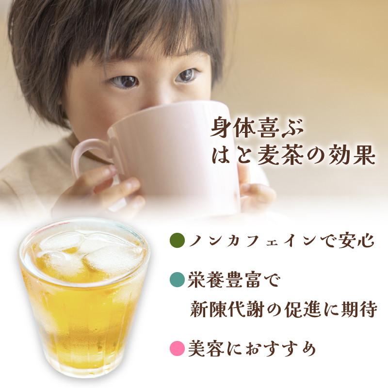  焙じはとむぎ茶 15包 3パック セット 菊岡漢方薬局 健康茶 ノンカフェイン ダイエット 美容 デトックス 美肌 安心 お茶 漢方 ティーバッグ 焙煎 焙じ ハト麦 茶 ギフト プレゼント 贈り物 奈良市 奈良県 敬老の日 ハロウィン クリスマス バレンタイン 8-027