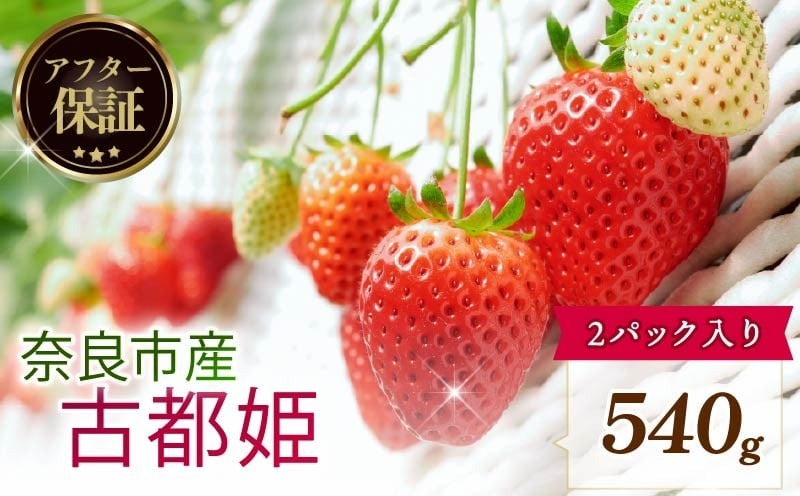 【数量限定】 2026年発送 苺 いちご 古都姫 2パック 約540g (270g×2P) ゆりかーご 冷蔵 小分け 果物 スイーツ デザート くだもの フルーツ ベリー ふるさと納税 いちご 大粒 採れたて 完熟 おやつ 産地直送 先行予約 数量限定 季節限定 ブランド イチゴ ギフト お祝い 中村農園 奈良県 奈良市