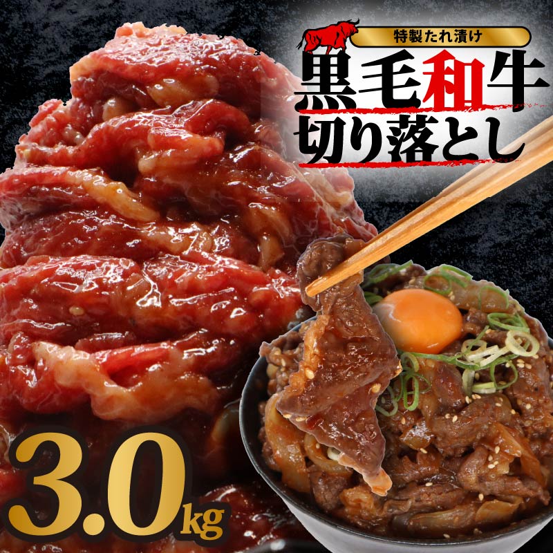 国産 黒毛 和牛 個包装 秘伝のタレ 3kg 15パック 牛肉 牛 味付け 切り落とし スライス タレ漬け 特製 タレ 焼き肉 焼肉 牛丼 丼 焼肉セット 焼肉用 小分け 冷凍 BBQ バーベキュー おすすめ 人気 奈良 奈良県 奈良市 近藤精肉店