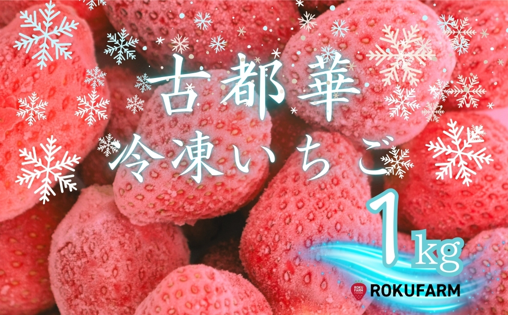 【数量限定】完熟古都華 の 冷凍いちご（古都華） 奈良ブランド苺 イチゴ フルーツ 果物 国産 冷凍 人気 かき氷 フローズン スムージー ジャム アレンジ スイーツ 『６FARM』 奈良県 奈良市 10-212 [10-212]