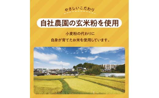 グルテンフリー バターチキンカレー 180g×10袋 奈良おおの農園 奈良県 奈良市 なら G-131