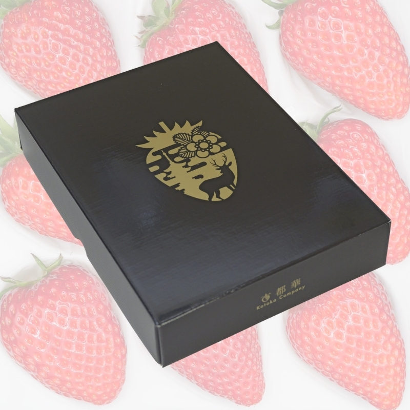 【 数量限定 予約販売 】 ブランド いちご 古都華 1P 宝石のような濃いルビー色 苺 イチゴ 大粒 4L～5L 2026年 1月 以降順次発送 1月 2月 3月 旬 産地 農場 直送 フレッシュ スイーツ スムージー ケーキ フルーツ 果物 国産 ベリー 贈答用 プレゼント 人気 ふるさと納税 ふるさと おすすめ 限定 奈良県 奈良市 なら 古都華カンパニー IK-01