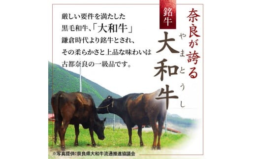 牛肉 和牛 ブランド牛 大和牛 焼肉セット【年末年始12月26日?1月7日の着日指定不可】 大和牛専門店 一 H-45