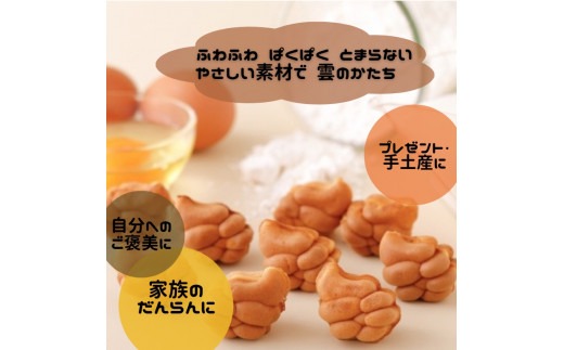 3つの味食べ比べお得3種セット各22個入（ギフト箱なし） KINTOUN babycastella カステラ 一口カステラ ベビーカステラ 奈良県 奈良市 なら 9-001