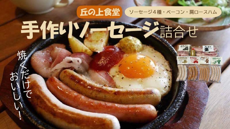 H-17 荳倥ョ荳企」溷ゅョ謇倶ス懊j繧ス繝シ繧サ繝シ繧ク隧ー蜷医○