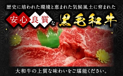 牛肉 和牛 大和牛肩ロース切落し・ヤマトポークロース切落しセット 大和牛専門店 一 U-11