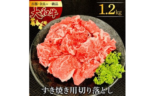 H-113 大和牛 すき焼き・しゃぶしゃぶ用切り落とし 1.2kg　肉の河内屋