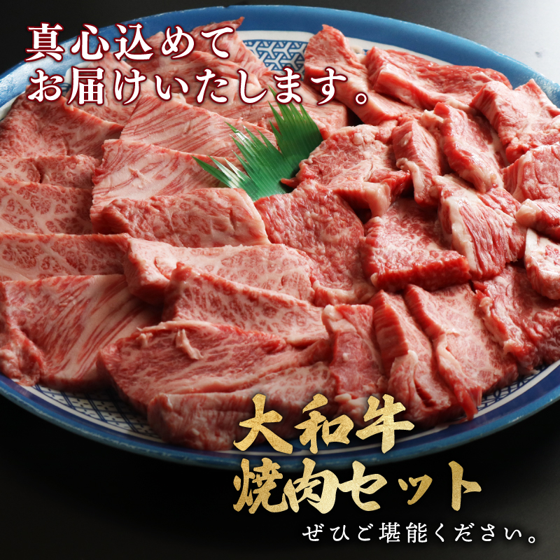 牛肉 和牛 ブランド牛 大和牛 焼肉セット 大和牛専門店 一 H-45