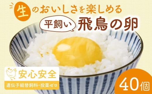 飛鳥の卵 １０個×４箱 たまご 卵 玉子 タマゴ 鶏卵 オムレツ 卵かけご飯 たまご焼き 古都 風雅ファーム 奈良県 奈良市 なら 15-011