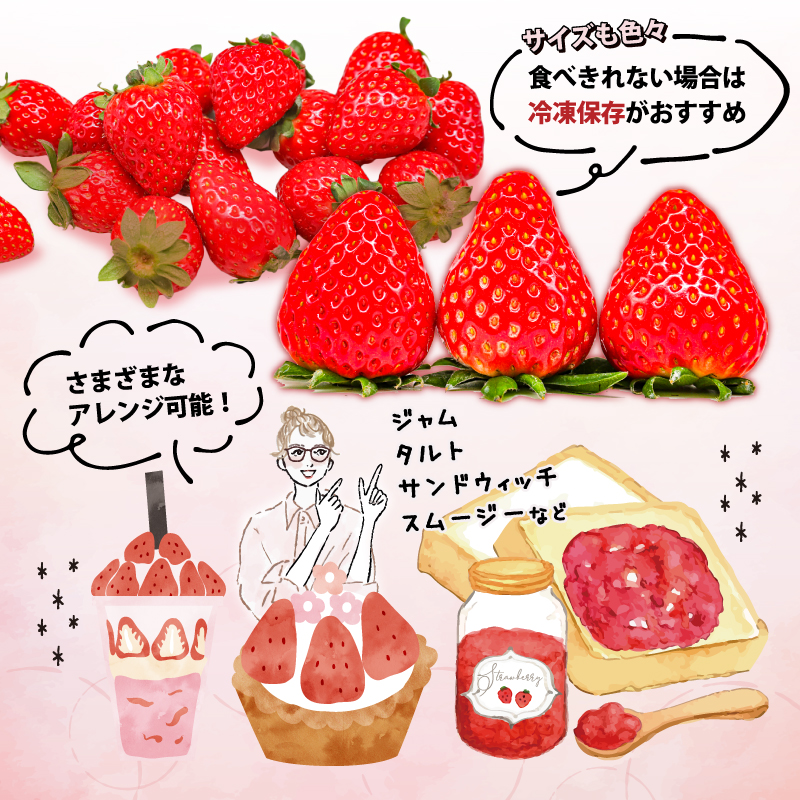 いちご ことか 270g×2パック 大粒 古都華 数量限定 冷蔵 イチゴ 苺 フルーツ 果物 小分け ブランドいちご 甘い おすすめ 贈答 プレゼント ギフト 奈良県 奈良市 いちご農家だるま