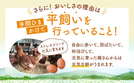 飛鳥の卵（１０個×４箱）定期便１２ケ月 古都 風雅ファーム たまご 平飼い卵 平飼い 卵 玉子 タマゴ 鶏卵 オムレツ 卵かけご飯 たまご焼き 奈良県 奈良市 なら 180-001