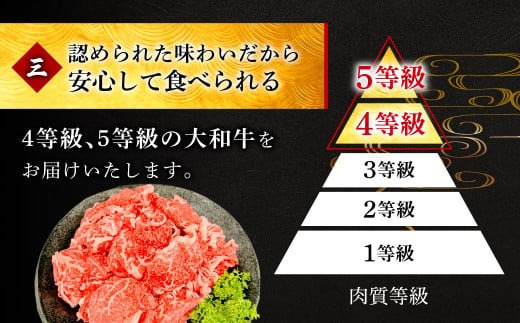 I-276 大和牛すき焼き（しゃぶしゃぶ）用切り落とし 600g　肉の河内屋