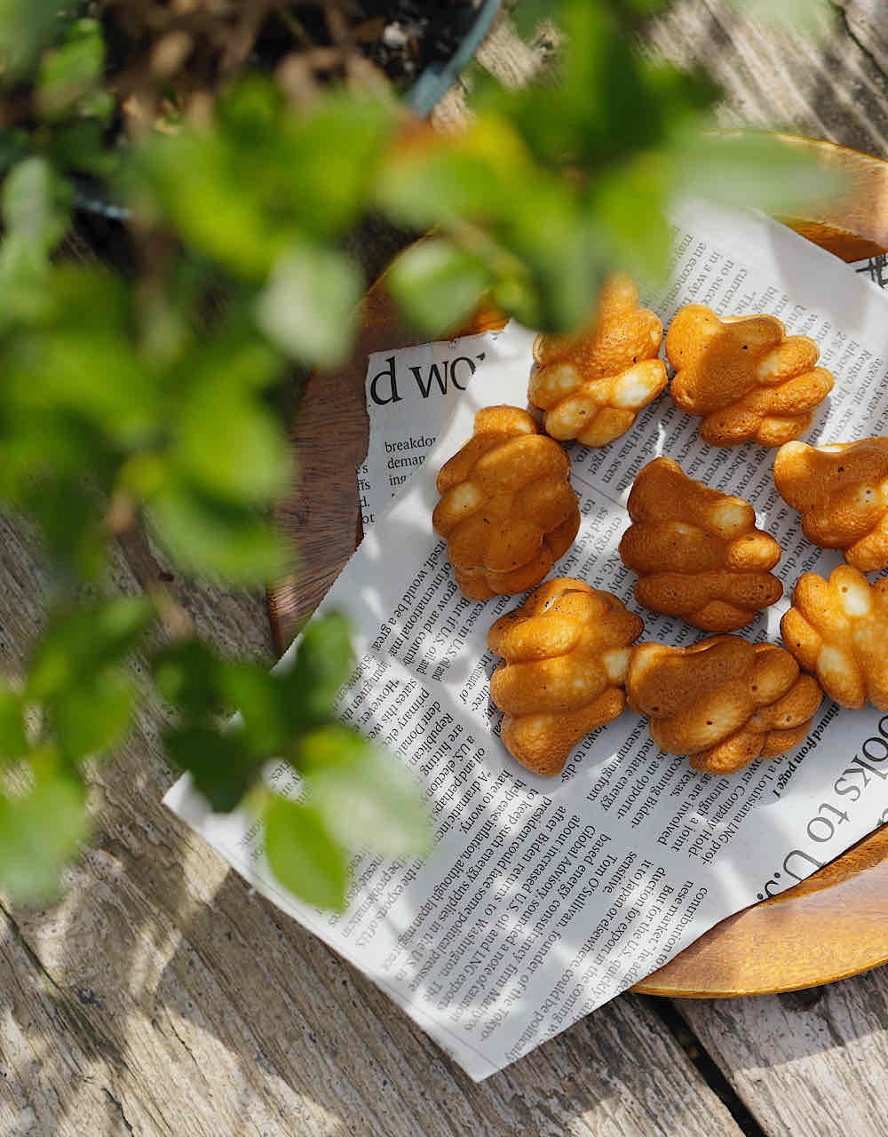 米粉で作られたヴィーガンの一口カステラ15個入り×2袋セット 合資会社 大阪屋 奈良県 奈良市 なら 11-082