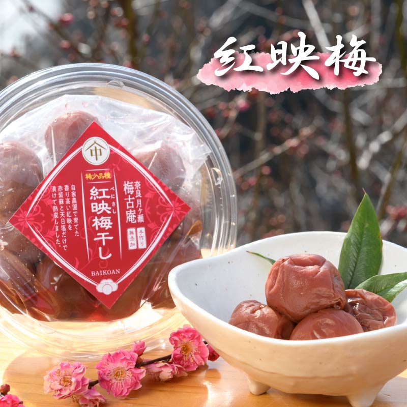 梅干し 梅づくし 5点セット 無添加 食べ比べ 梅 梅干し 南高梅 白加賀梅 紅映梅 うめ 梅干 漬物 漬け物 ご飯 白米 白飯 お弁当 おかず ご飯のお供 ごはんのお供 おつまみ おやつ お茶 梅茶 うばい 薬膳 お茶漬け 奈良県 奈良市