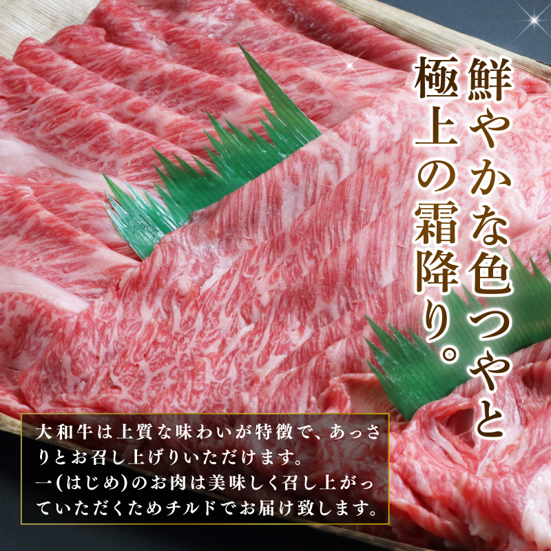 迚幄i 縺励c縺カ縺励c縺カ 螟ァ蜥檎央繝ュ繝シ繧ケ縺励c縺カ縺励c縺カ逕ィ 螟ァ蜥檎央蟆る摩蠎 荳 G-64