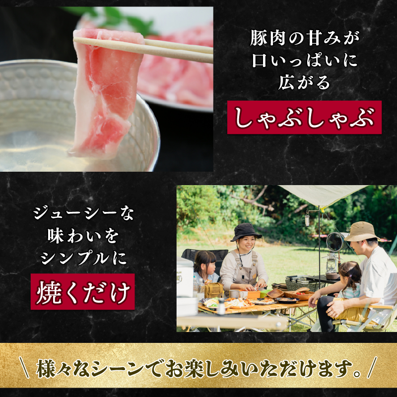 I-240 ã€ããããŒã¯ããŒã¹åèœã è±è åãèœãšã ã€ããããŒã¯ è± åœç£è± ãã©ã³ãè±