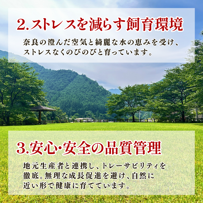 I-240 ã€ããããŒã¯ããŒã¹åèœã è±è åãèœãšã ã€ããããŒã¯ è± åœç£è± ãã©ã³ãè±