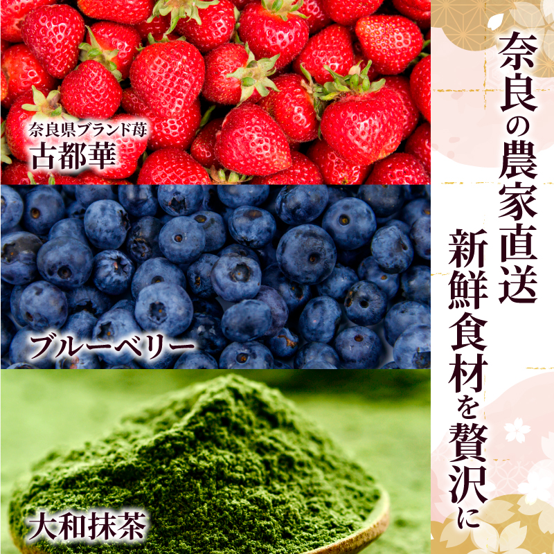 ジェラート アイス 大人気スイーツ アイスクリーム みやけ 和じぇらーと 和ジェラート（12個）※9月以降順次発送 イタリア人も唸る絶品ジェラート 奈良県 奈良市 I-89