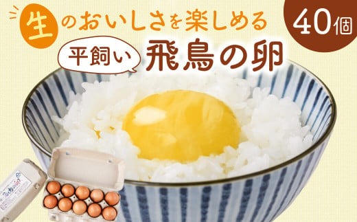 飛鳥の卵（１０個×４箱）定期便３ケ月 たまご 卵 玉子 タマゴ 鶏卵 オムレツ 卵かけご飯 たまご焼き 古都 風雅ファーム 奈良県 奈良市 なら 45-003