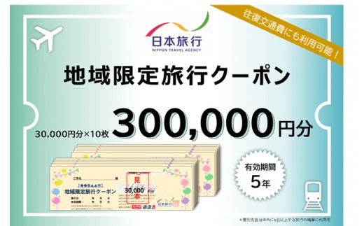 日本旅行 地域限定旅行クーポン 300,000円 A-38