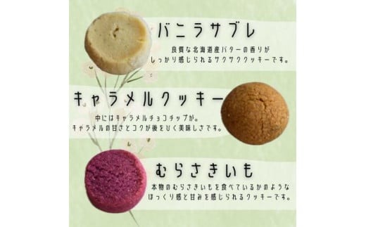 いろいろクッキー(クッキー７種類入り)12袋セット シフォンのお店PUKKU 奈良県 奈良市 なら 16-004