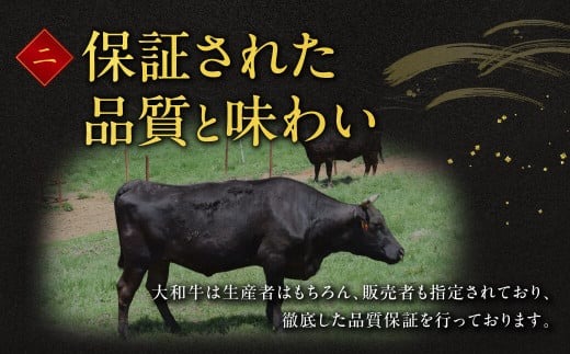 牛肉 ヒレ 大和牛 ヒレステーキ 用 ステーキ【年末年始12月26日?1月7日の着日指定不可】 大和牛専門店 一 F-33