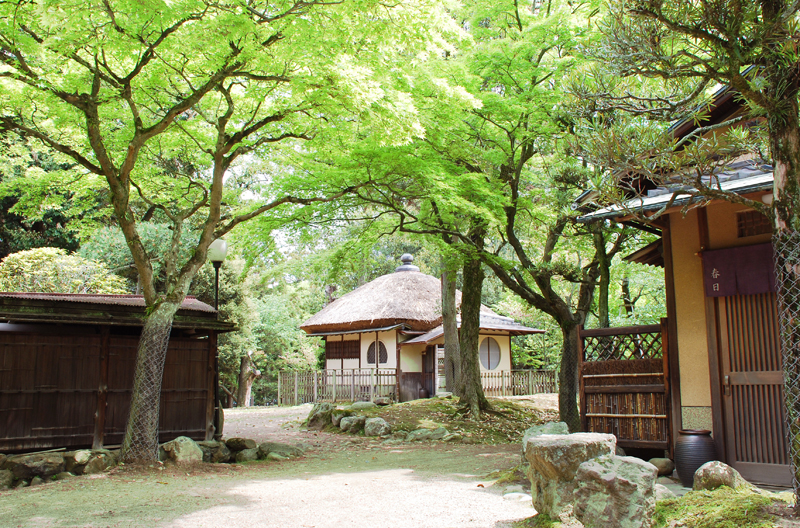 江戸三　ランチ・ワンドリンク付き　2名様　お食事券 F-89