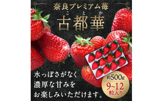 【数量限定】厳選 大ちゃんの古都華（贈答用）（５００ｇ×１パック）　いちご農家だるまいちご 苺 いちご 奈良ブランド苺 イチゴ ブランド プレゼント いちご農家だるま I-287