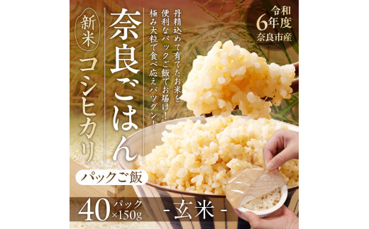 レトルトパックご飯（玄米）150g × 40個 10月下旬発送開始 米パックご飯 米 お米 ご飯 ライス パックご飯 パックライス レトルト レトルトパック ブランド米 玄米 るさと納税 ご飯パック ごはんパック レトルト ご飯 パックごはん パックライス パック ごはん 米 保存食 備蓄 送料無料 ふるさと ランキング 人気 おすすめ 26-003